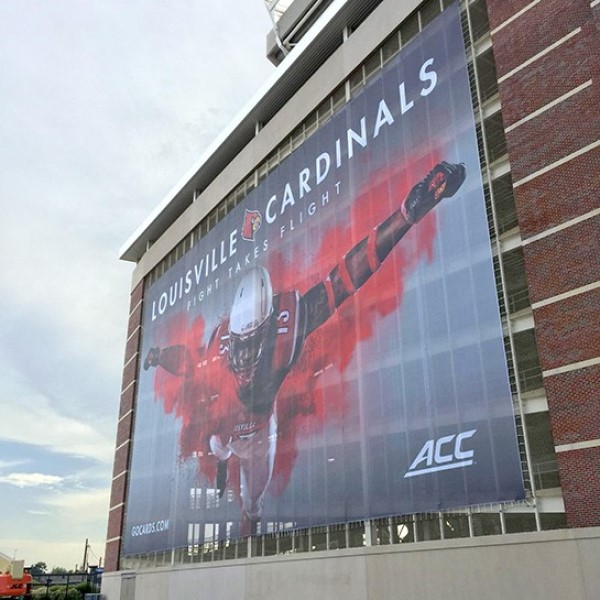 Decorative mesh banner